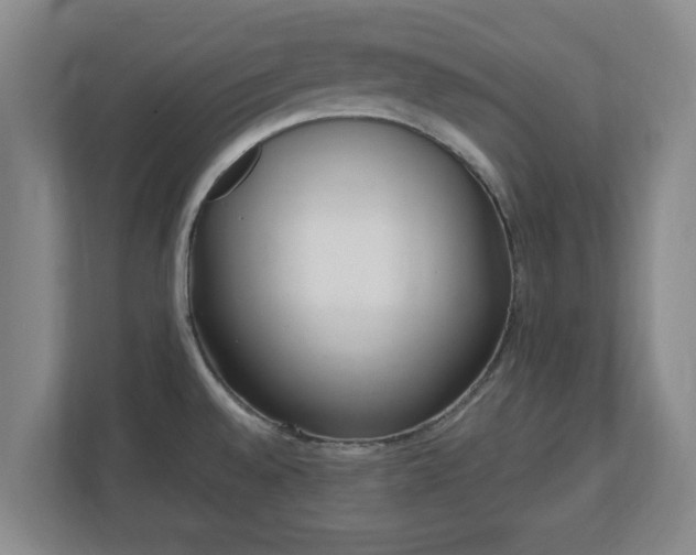 X0000110671528200906191335