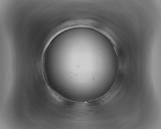 X0000110671532200906191335
