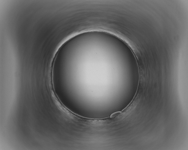 X0000110671534200906191335