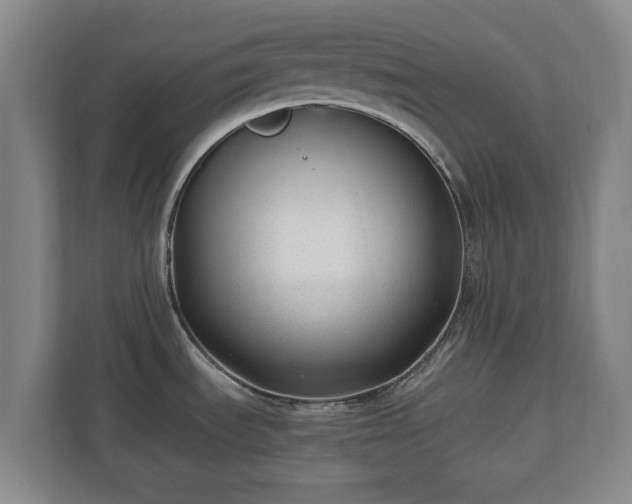 X0000110671535200906191335