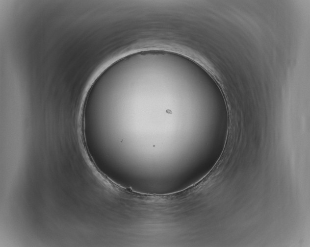 X0000110671536200906191335