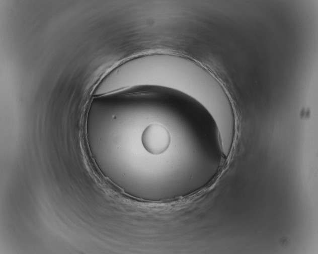 X0000110670001200906261308