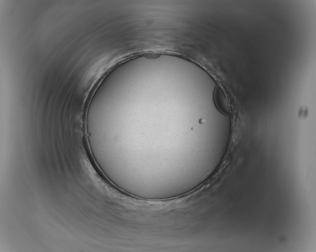 X0000110670002200906261308
