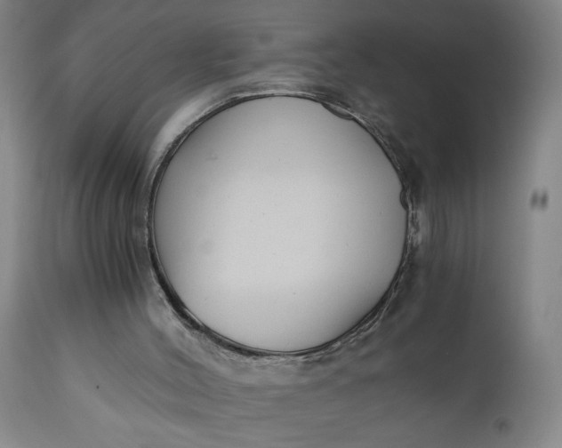 X0000110670004200906261308