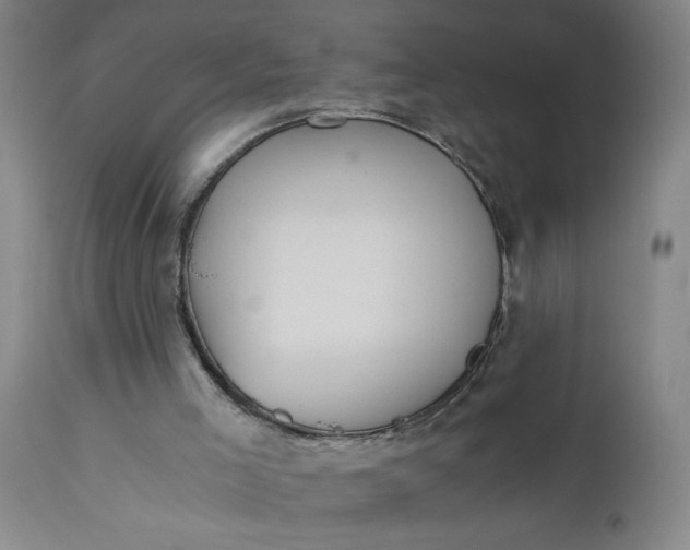 X0000110670005200906261308