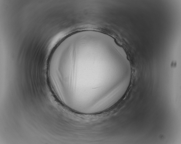 X0000110670006200906261308