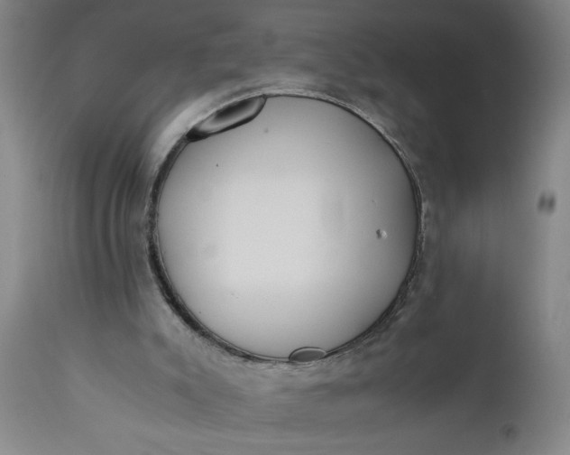 X0000110670007200906261308