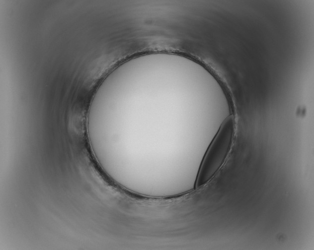 X0000110670009200906261308