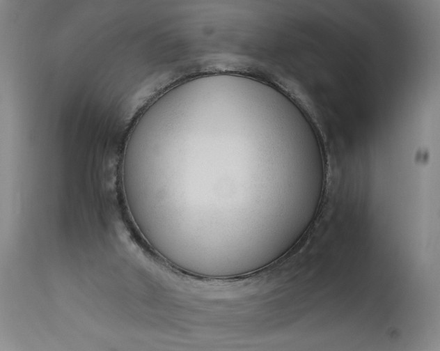 X0000110670010200906261308