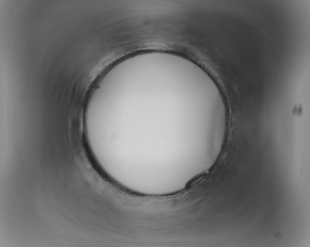 X0000110670011200906261307