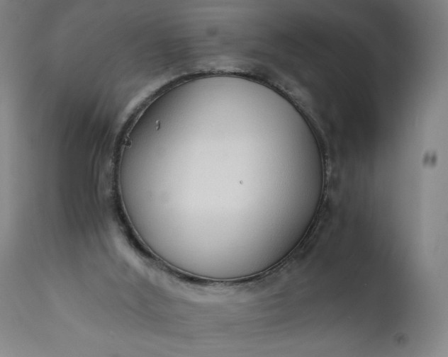 X0000110670012200906261307