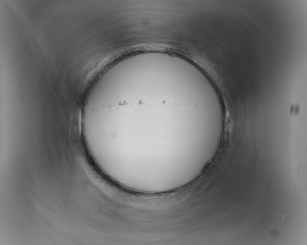 X0000110670013200906261307