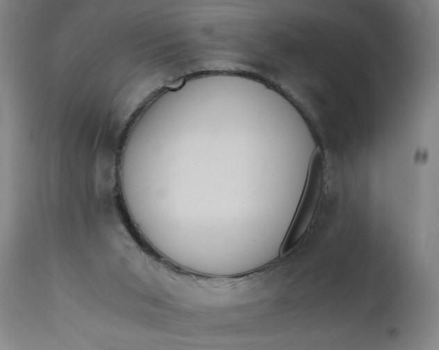 X0000110670015200906261307