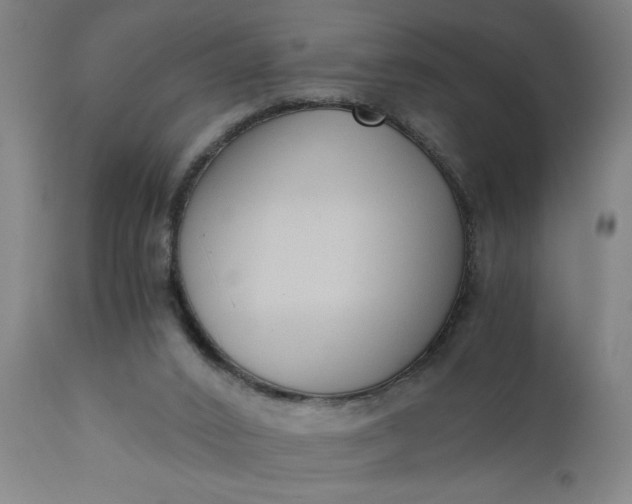 X0000110670016200906261307
