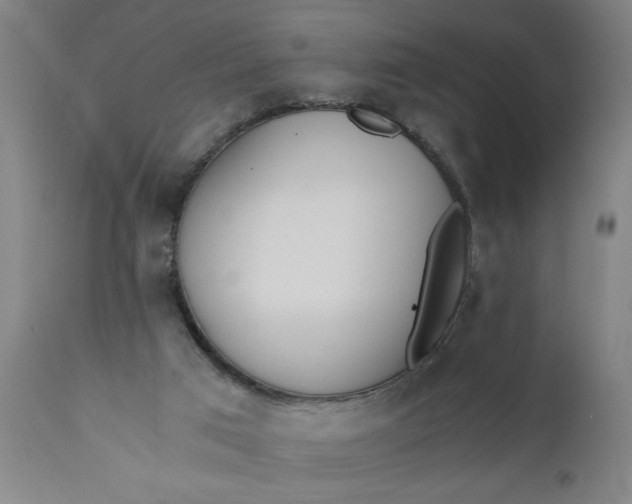 X0000110670017200906261307