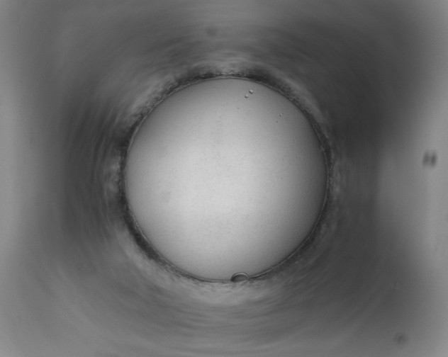 X0000110670018200906261307