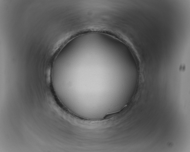 X0000110670019200906261307