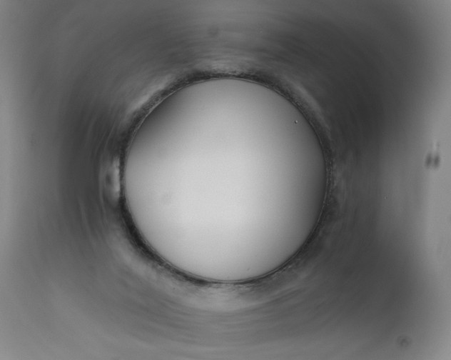 X0000110670020200906261307