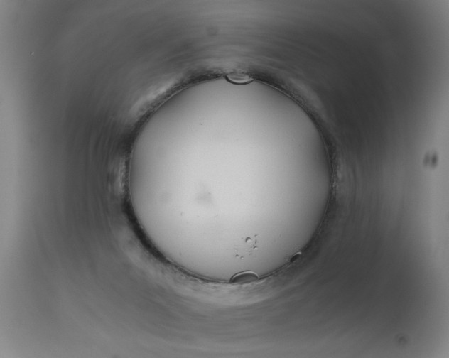 X0000110670023200906261307