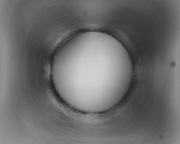 X0000110670024200906261307