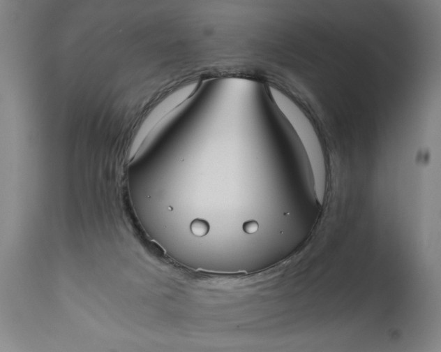 X0000110670025200906261307