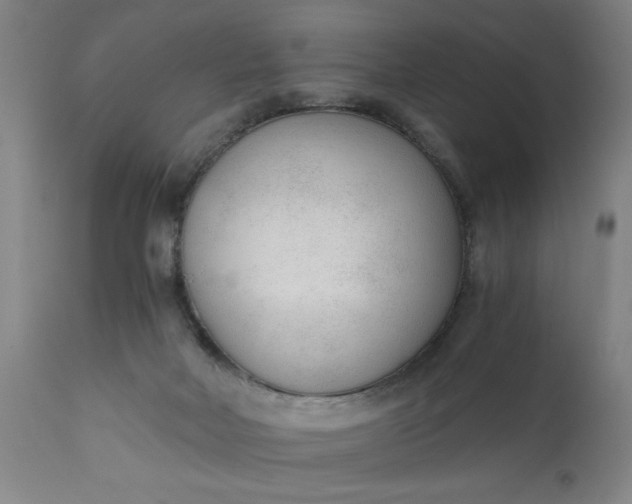 X0000110670026200906261307