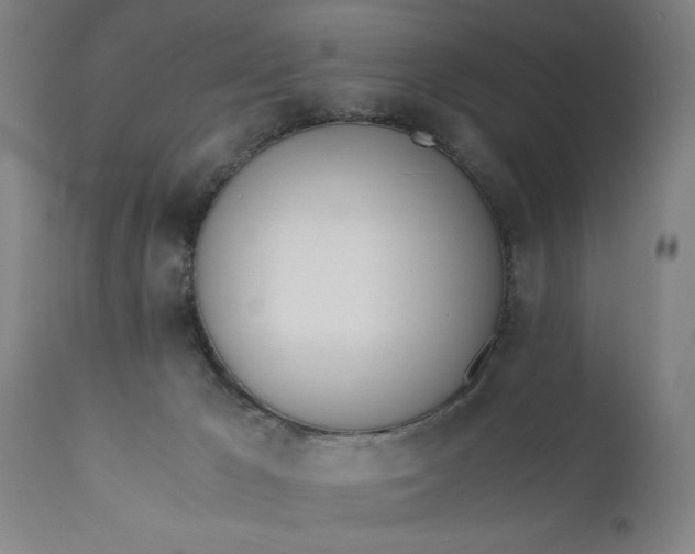 X0000110670029200906261307