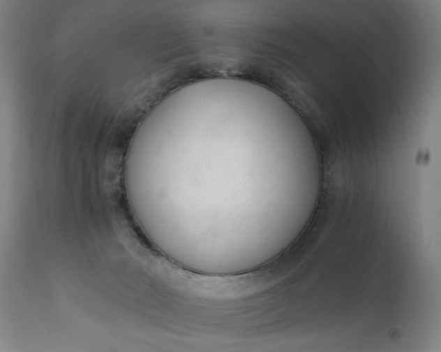X0000110670030200906261307