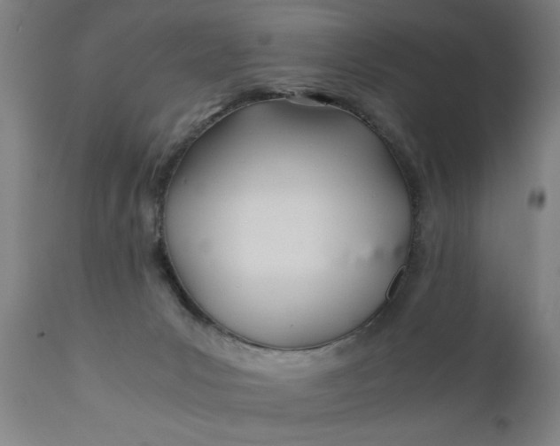 X0000110670031200906261307