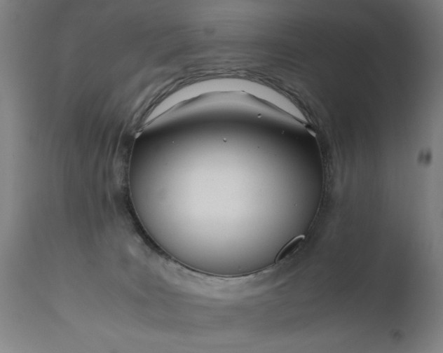 X0000110670035200906261307