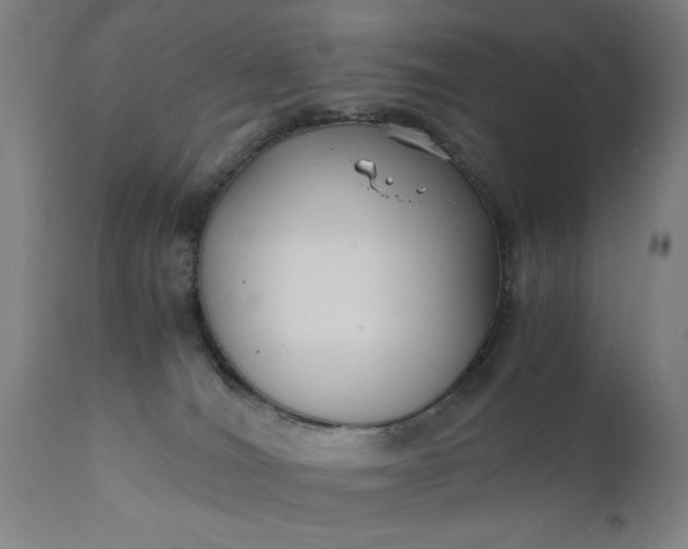 X0000110670036200906261307