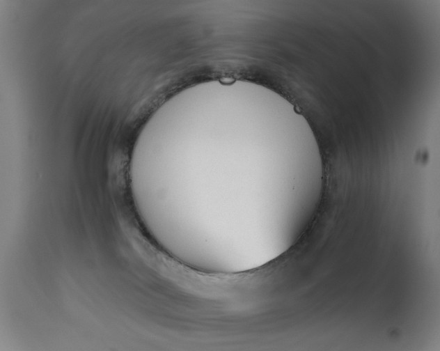X0000110670038200906261307