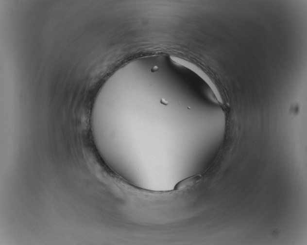 X0000110670039200906261307