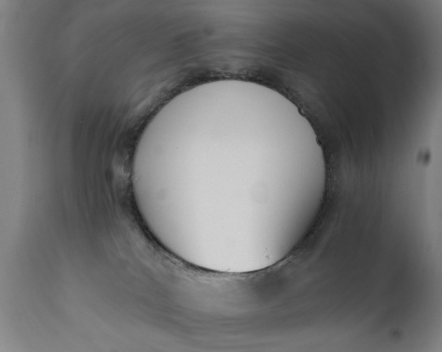 X0000110670040200906261307