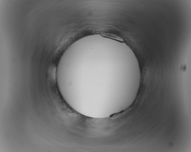 X0000110670041200906261307