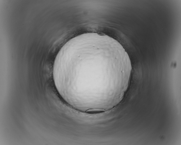 X0000110670043200906261307