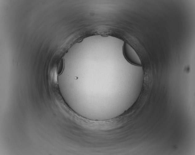 X0000110670046200906261307