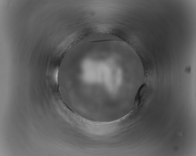 X0000110670047200906261307