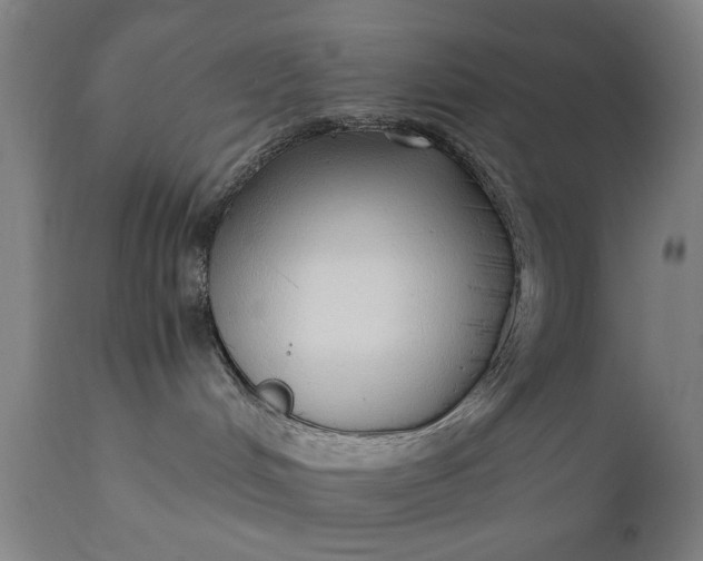 X0000110670048200906261307