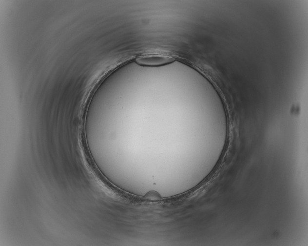 X0000110670049200906261306