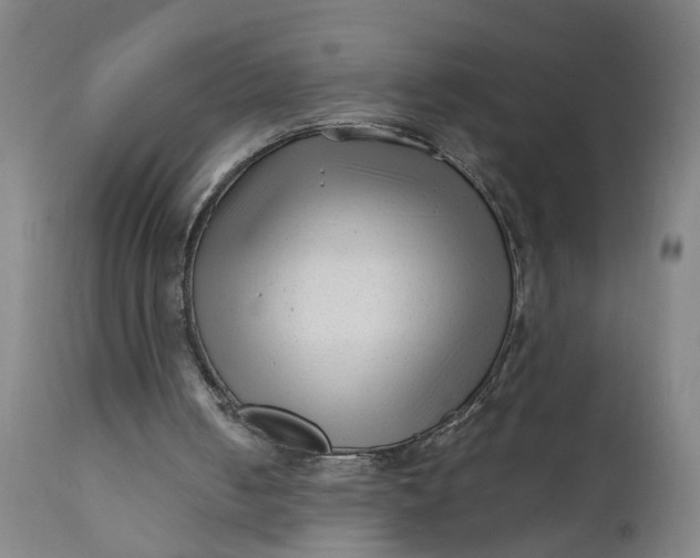 X0000110670050200906261306
