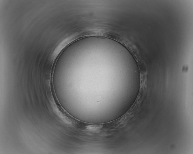 X0000110670051200906261306