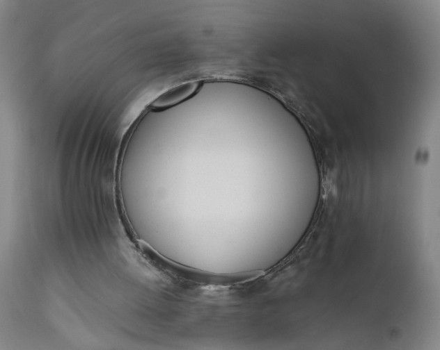 X0000110670052200906261306