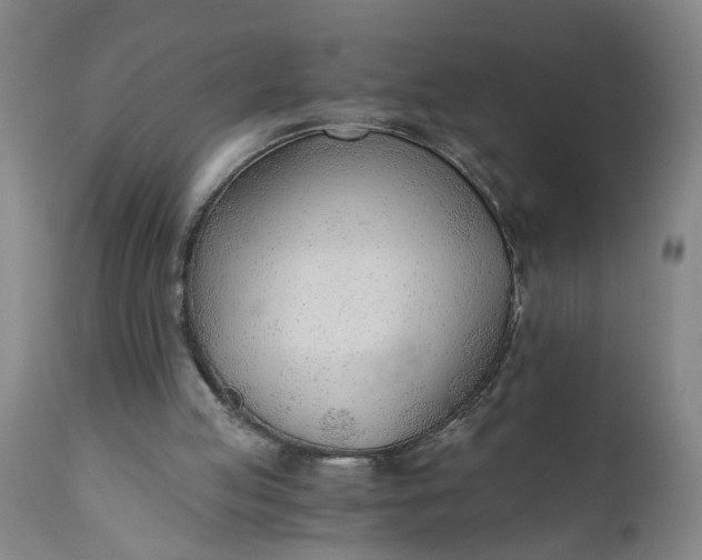 X0000110670053200906261306