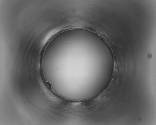 X0000110670054200906261306