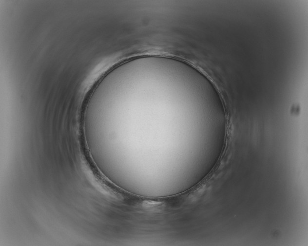 X0000110670055200906261306