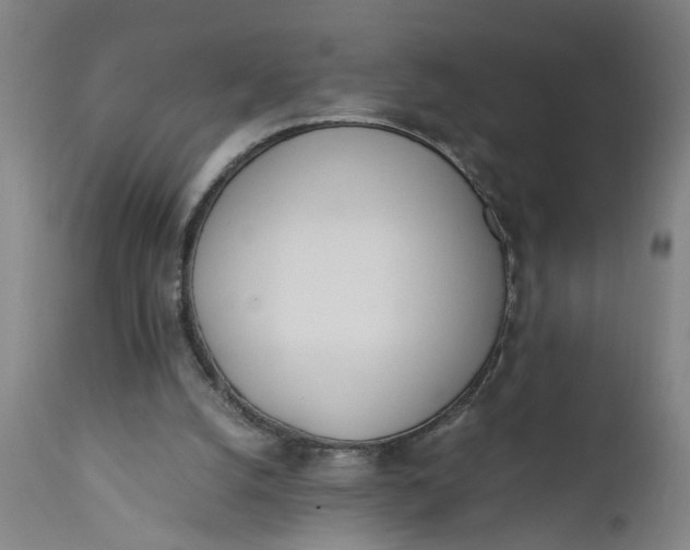 X0000110670056200906261306