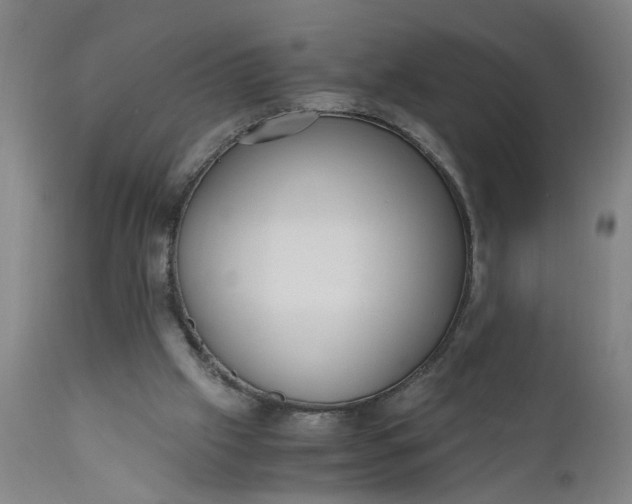 X0000110670057200906261306