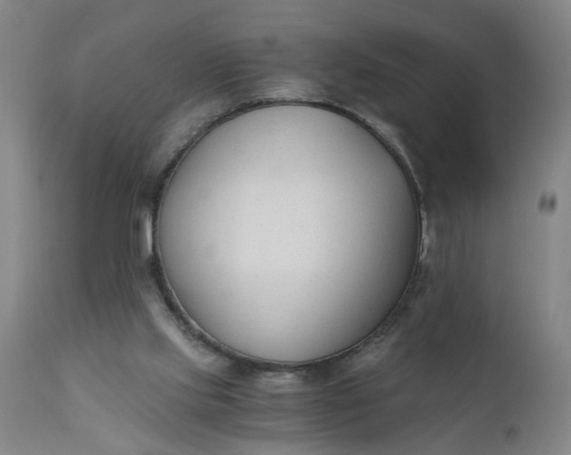 X0000110670061200906261306