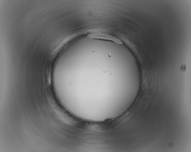 X0000110670062200906261306